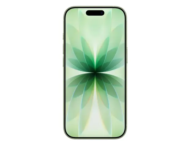 მობილური ტელეფონი Apple IPhone 17 256GB Sage,Model A3520, 2 image