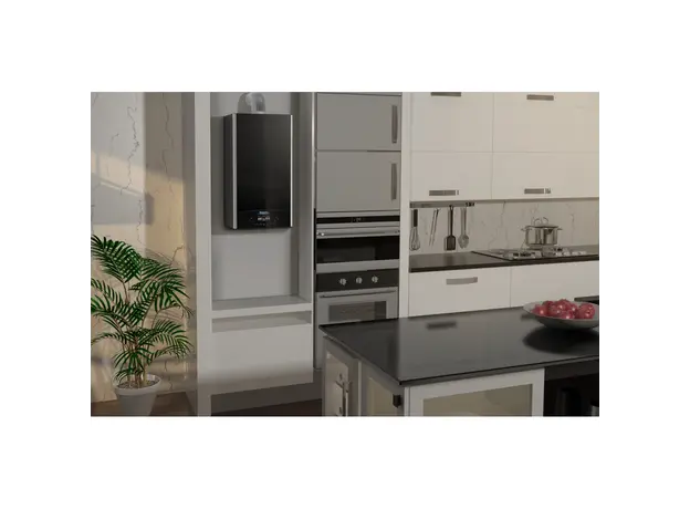 ცენტრალური გათბობის ქვაბი ALTEAS XC 24 FF NG ARISTON, 5 image