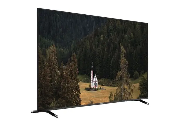 ტელევიზორი SUNNY 65'' (SN65FIL252), 3 image