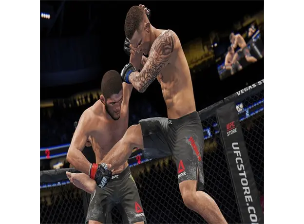 ვიდეო თამაში Game for PS4 UFC 4, 4 image