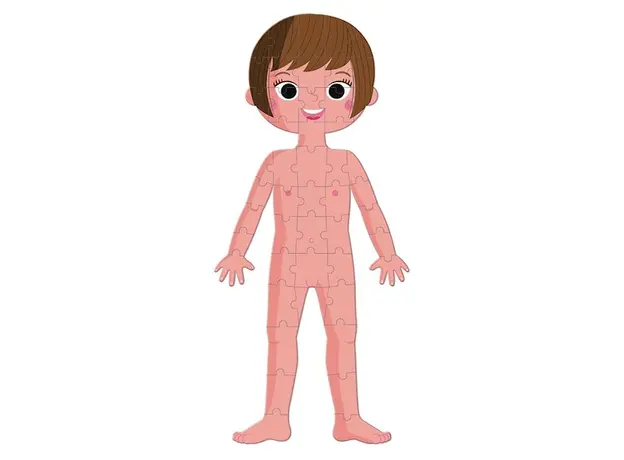 სათამაშო თავსატეხი Janod Educational Puzzle Human Body, 5 image