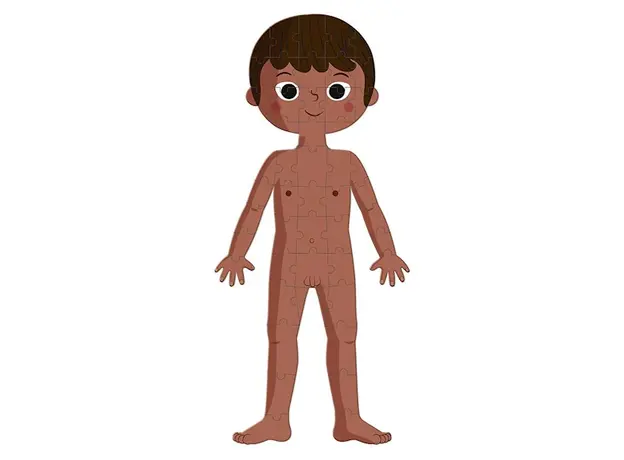 სათამაშო თავსატეხი Janod Educational Puzzle Human Body, 6 image