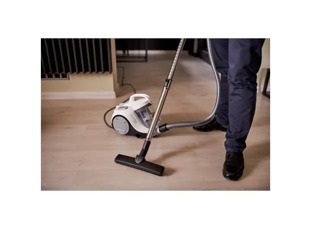 მტვერსასრუტი ROWENTA RO2957EA, 4 image