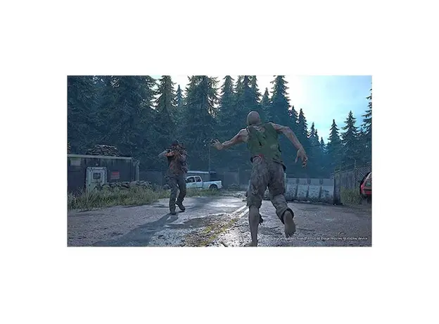 ვიდეო თამაში Game for PS4 Days Gone, 4 image