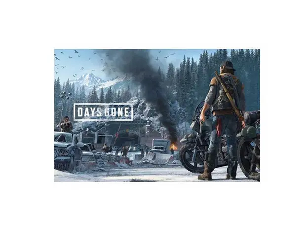ვიდეო თამაში Game for PS4 Days Gone, 3 image