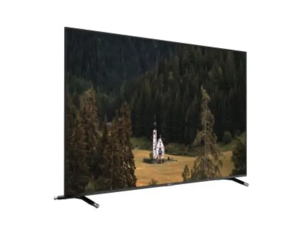 ტელევიზორი SUNNY SN50FIL252/0276, 3 image