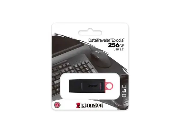 USB ფლეშ მეხსიერება kingston DTXM 256GB DTXM/256GB, 3 image