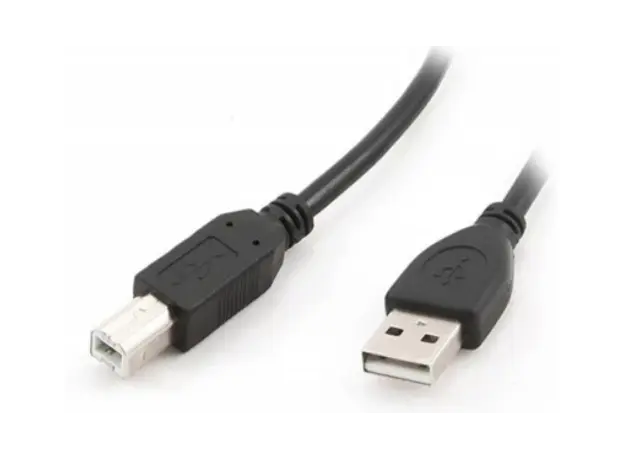 კაბელი Gembird CCP-USB2-AMBM-10 USB Cable for Printer 3m, 3 image