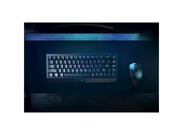 კლავიატურა Razer RZ03-03890700-R3R1 BlackWidow V3 Mini HyperSpeed Gaming Keyboard, Yellow Switch, BT, USB, RGB, Black, 10 image