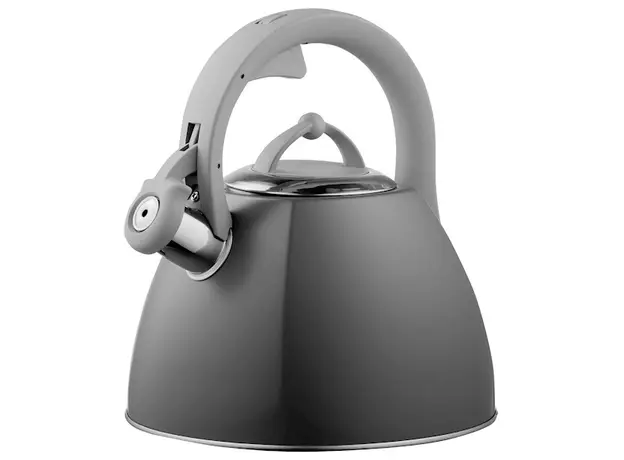ჩაიდანი Ardesto Kettle Gemini, 2.5l, stainless steel, grey, 2 image