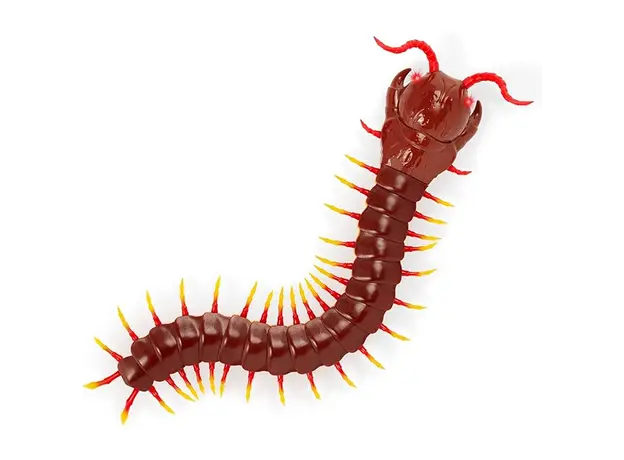 დისტანციურად სამართავი სათამაშო Terra R/C CENTIPEDE, 3 image