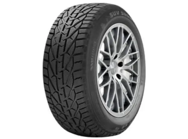 საბურავი Riken 205/50R17 Snow
