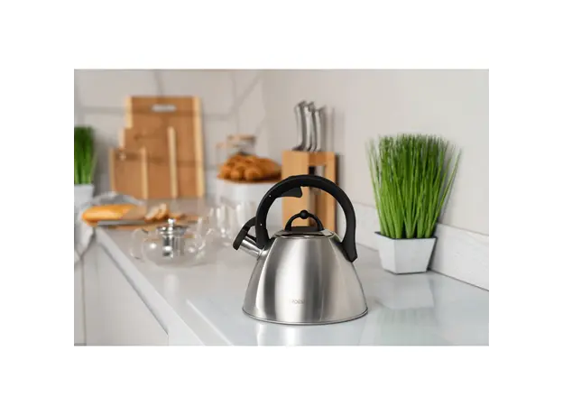 ჩაიდანი Ardesto Kettle Gemini, 2.5l, stainless steel, 5 image