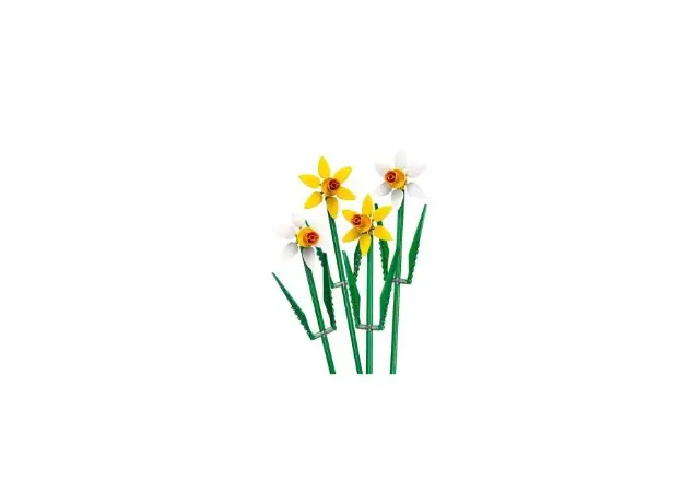 ლეგო LEGO Constructor ICO DAFFODILS, 4 image