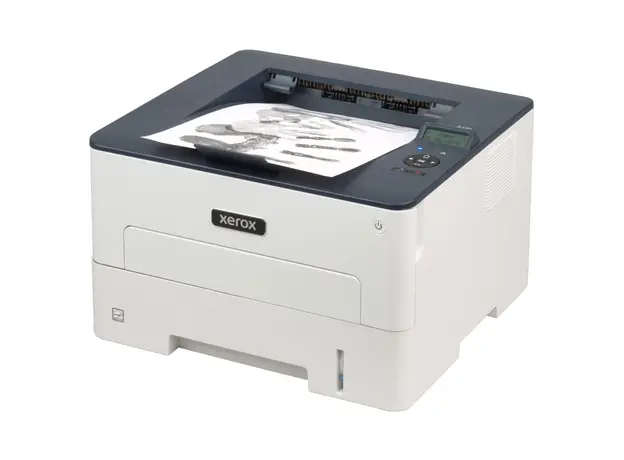 პრინტერი Xerox B230V_DNI, A4, USB, Ethernet, WiFi, Printer, White, 9 image