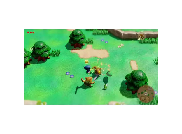 ვიდეო თამაში Nintendo Switch Game Legend of Zelda Echoes of Wisdom, 4 image