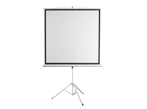 პროექტორის ეკრანი SBOX PSMT-135-2 / 240x240cm - Tripod