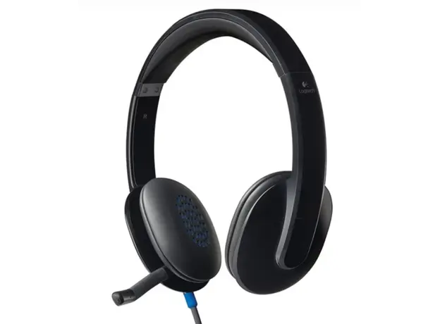 ყურსასმენი LOGITECH H540 Corded Headset - BLACK - USB