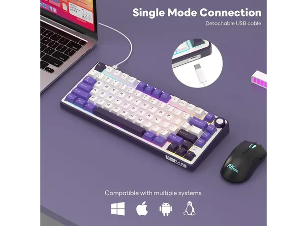 კლავიატურა Royal Kludge RK R75 RGB Mechanical Keyboard, K silver switch, Hot Swappable, Type-C wired, Blackberry, 6 image