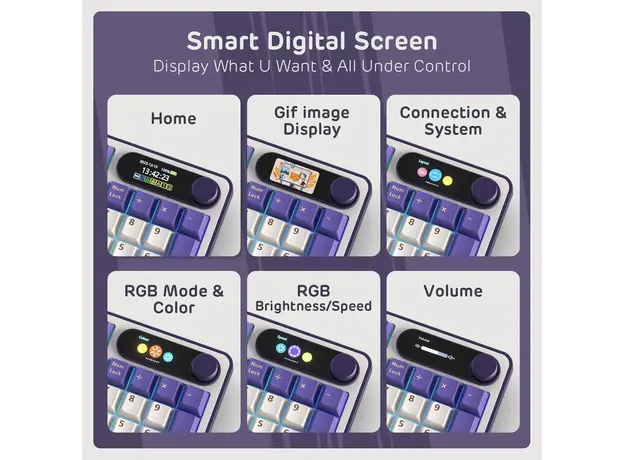 კლავიატურა Royal Kludge RK S98 RGB Mechanical Keyboard, Brown switch, Smart Display, Hot Swappable, Type-C wired, Bluetooth 5.0, 2.4GHz, Blackberry, 5 image