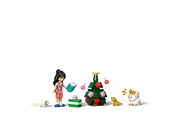 ლეგო LEGO Constructor Advent Friends 2025, 4 image