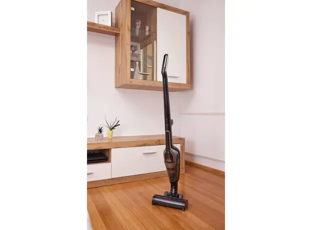 მტვერსასრუტი GORENJE SVC216110FSIIBKA, 16 image