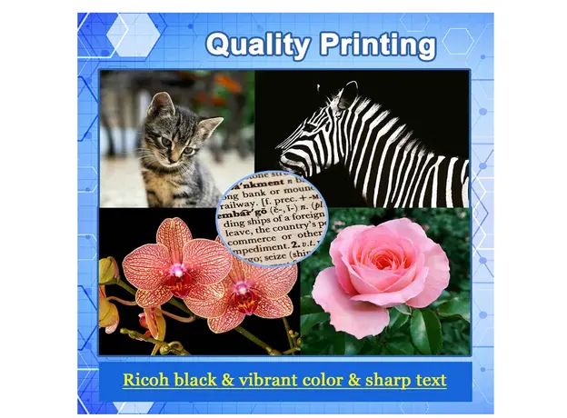 კარტრიჯი HXOULP Drum cartridge Xerox Prime Link B9100 Black, 3 image