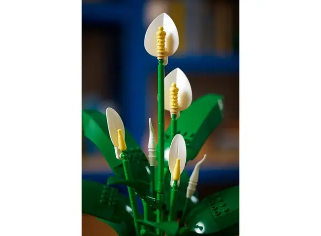 ლეგო LEGO Constructor Botanicals Peace Lily, 2 image