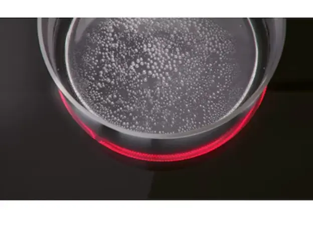 გაზქურის ზედაპირი Electrolux LHR3233CK / Electric-Domino / 30cm / Ceramic Glass, 4 image