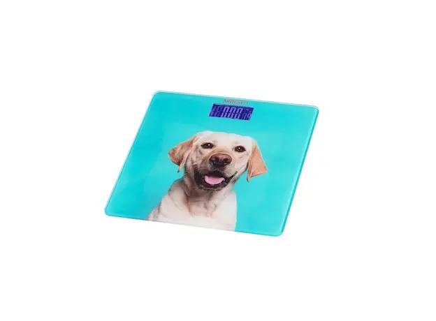 იატაკის სასწორი Ardesto SCB-965DOG, 2 image