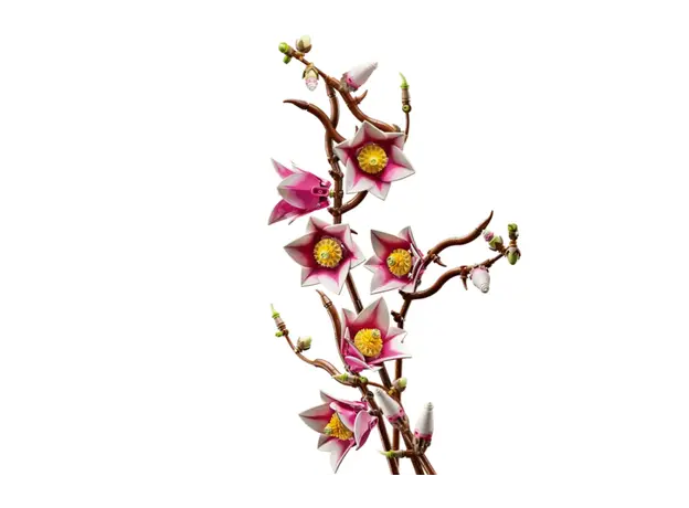 ლეგო LEGO Constructor Botanicals Magnolia Branches, 2 image