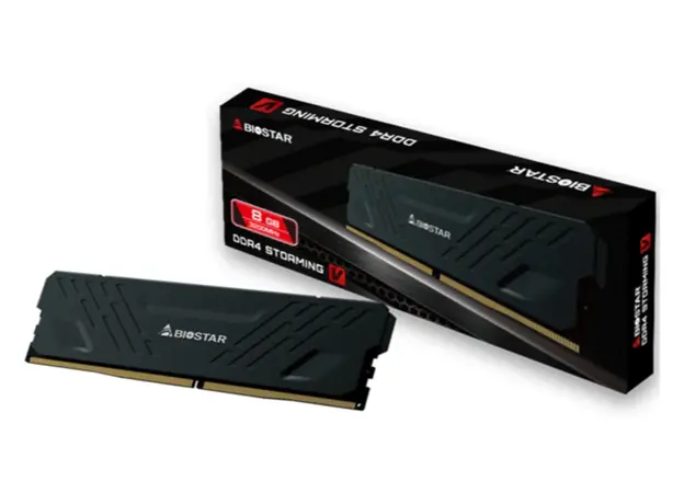 ოპერატიული მეხსიერება Biostar DRAM,DRAM Heatsink Storming V 8GB DDR4