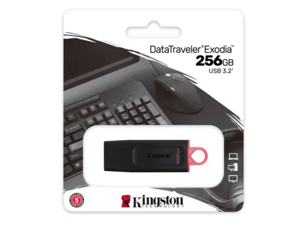 USB ფლეშ მეხსიერება Kingston 256GB DataTraveler Exodia, 3 image