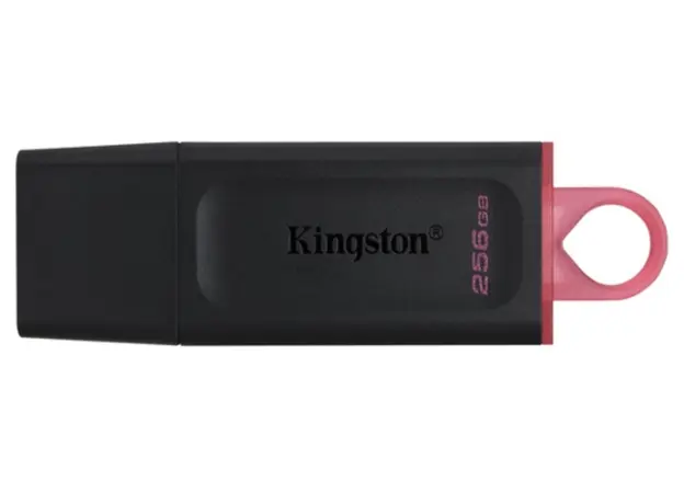 USB ფლეშ მეხსიერება Kingston 256GB DataTraveler Exodia