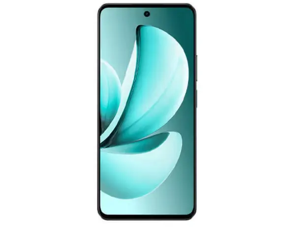 მობილური ტელეფონი Realme C71 6GB/128GB RMX5303 NFC Forest Owl, 2 image