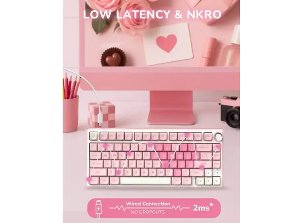 Royal Kludge RKR75-PM-XH RGB Mechanical Keyboard, Cream Switch, Hot Swappable, Wired, USB, Pink Melody, 16 image