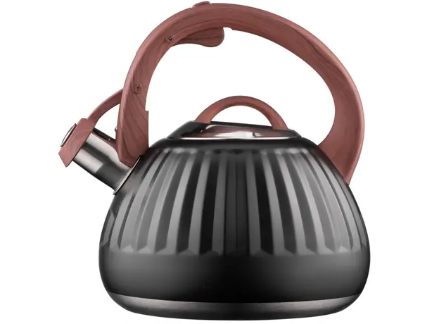 Teapot ARDESTO Gemini, 2.5l, stainless steel, black 674012410388