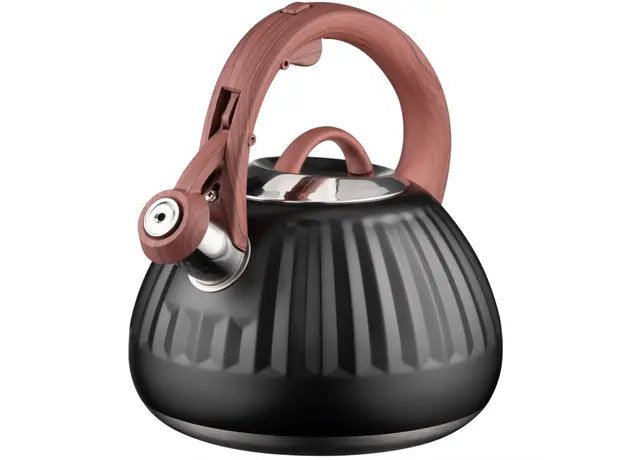 Teapot ARDESTO Gemini, 2.5l, stainless steel, black 674012410388, 3 image