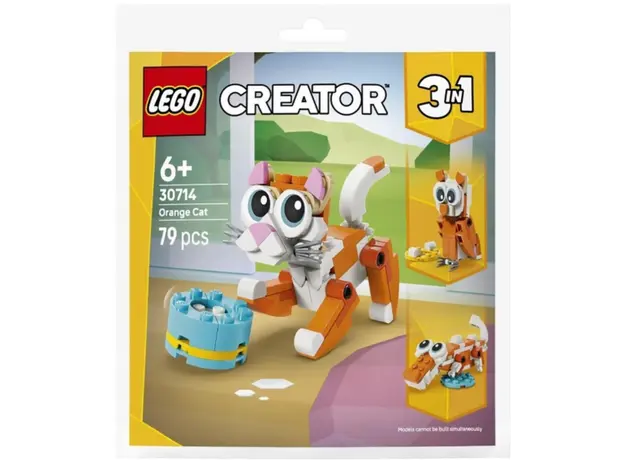 LEGO Constructor recruitment Creator Orange cat