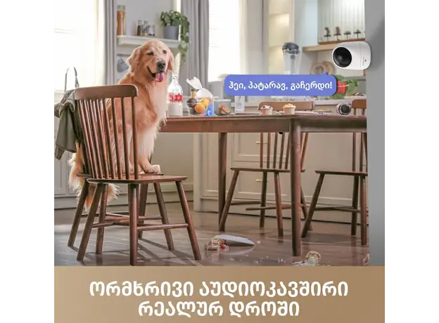 Video surveillance camera Dreame NAVO Care 1 Incam White (A131), 5 image