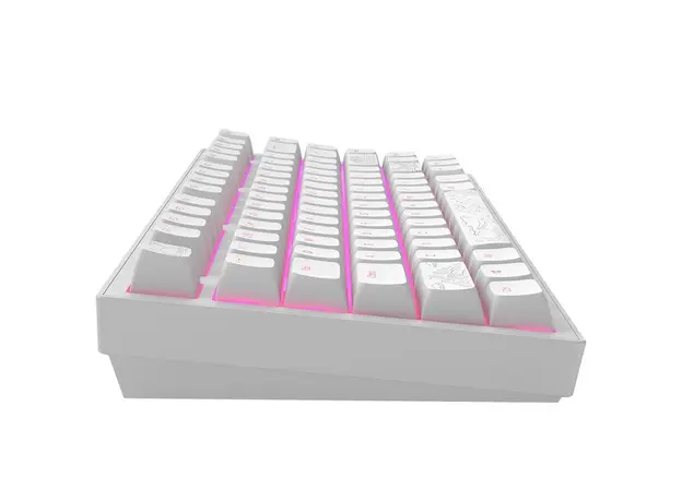 კლავიატურა Dark Project ALU Terra Nostra White - Wired Gaming Keyboard (ANSI), 3 image