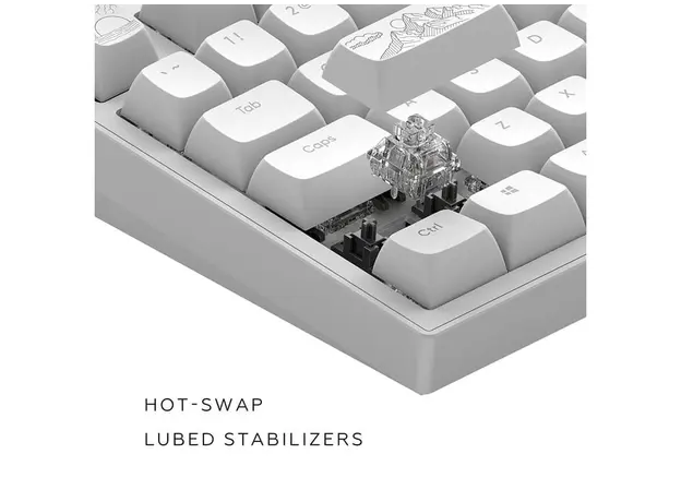 კლავიატურა Dark Project ALU Terra Nostra White - Wired Gaming Keyboard (ANSI), 4 image