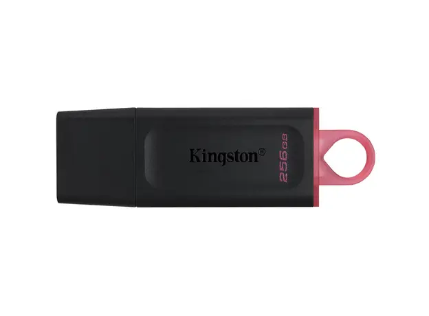 ფლეშ მეხსიერება Flash Kingston 256GB DTX