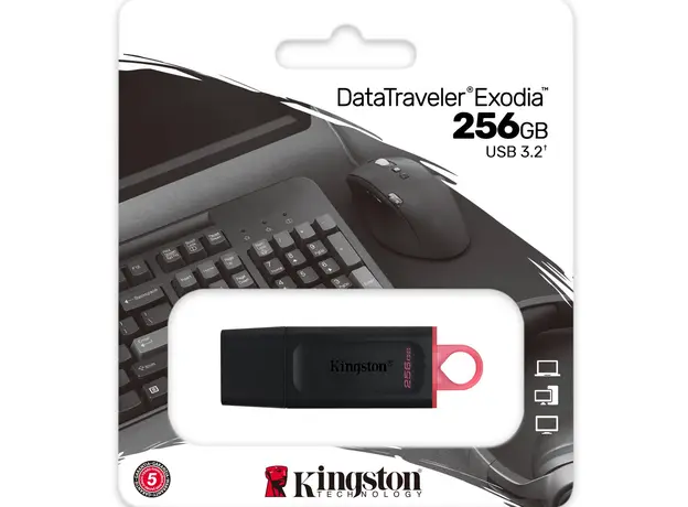 ფლეშ მეხსიერება Flash Kingston 256GB DTX, 3 image